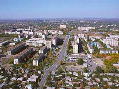 Объезжавший собаку троллейбус сбил девять пешеходов - Хобби, отдых и развлечения