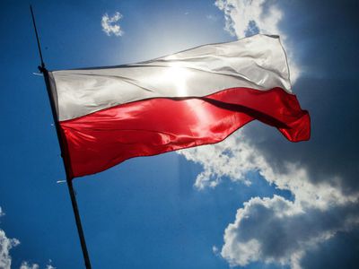 Опрос: почти половина поляков готовы защищать страну в случае нападения - В Мире
