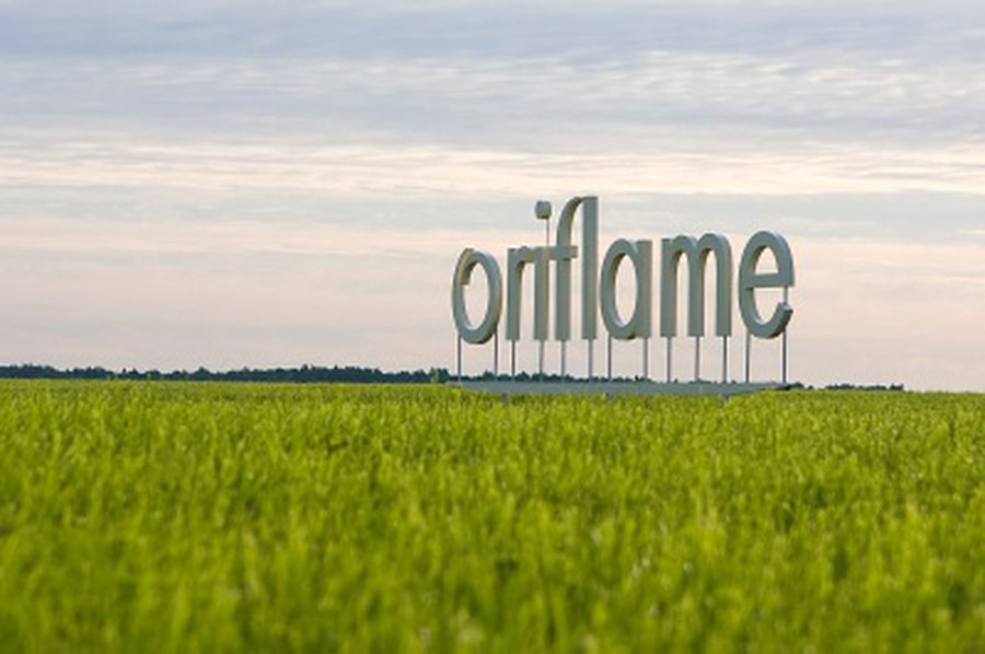В Иране на свободу отпущен глава фирмы Oriflame - Происшествия и криминал