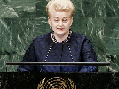 В Нью-Йорке состоялась встреча Д. Грибаускайте с М. Помпео - В Мире