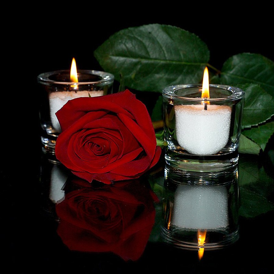 Скорбим вместе с вами… - Прощание