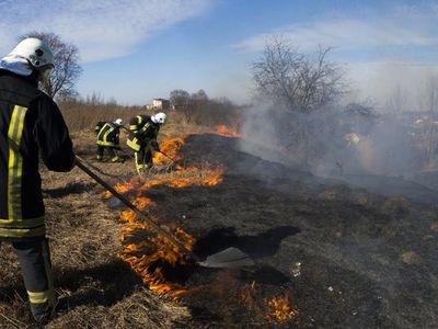 В Висагинском самоуправлении будет проводиться превентивная акция «Не жги траву!» - В Висагинасе