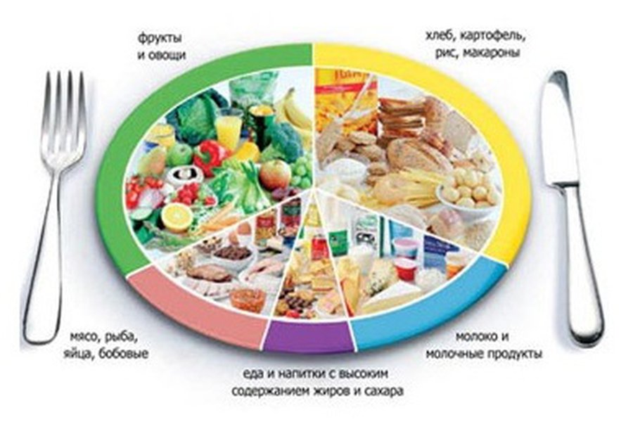 Специалисты разработали «тарелку правильного питания» - Наука и здоровье