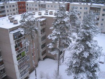 Вопросы избирателя                                           - В Висагинасе
