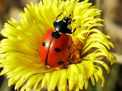 Прогноз погоды: если ничего не изменится, на следующей неделе наступит лето

 - Хобби, отдых и развлечения