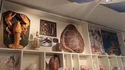 Салакас. Морской музей в 300 километрах от моря (видео)