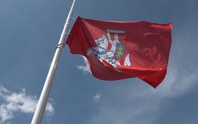 Maištinga mintis apie gynybą Lietuvoje - Projektas „Europos Pulsas“