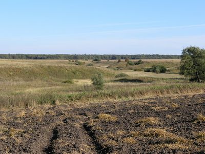 После СССР Литву оккупировал Евросоюз - Литва и страны Балтии
