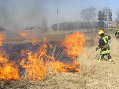 Vėl pradedama deginti pernykštė žolė                                 - Lietuva ir Baltijos šalys