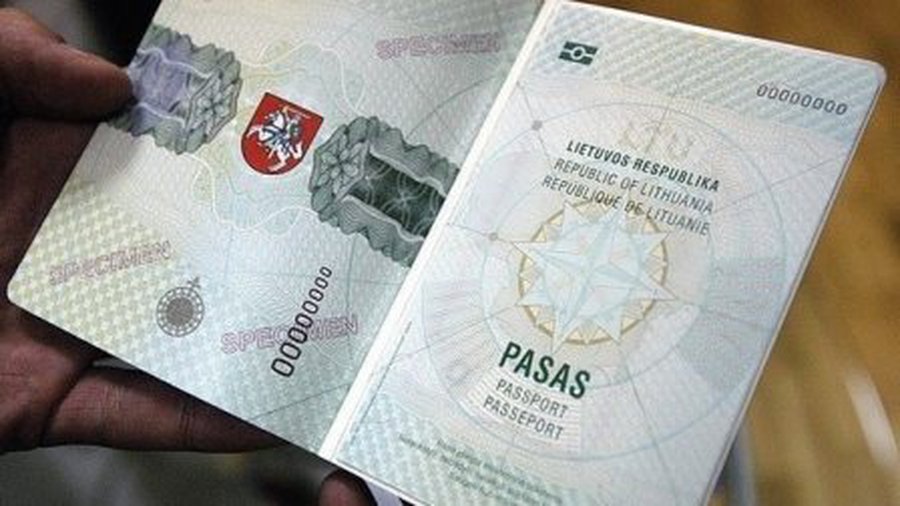 В Литве предлагают провести референдум о двойном гражданстве - Литва и страны Балтии