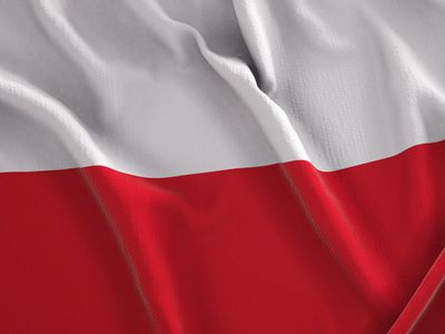 Г. Науседа отреагировал на взрывы в Польше: каждый сантиметр территории НАТО должен быть защищен - В Мире