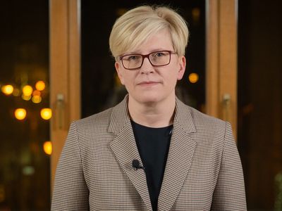 И. Шимоните надеется, что быстрые тесты на антигены поступят в Литву во второй половине февраля - Литва и страны Балтии