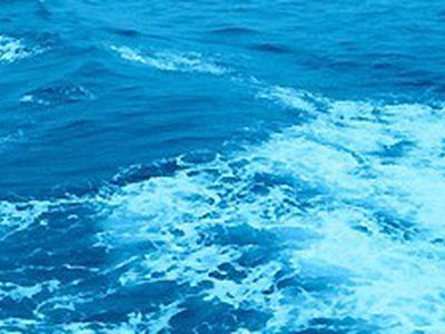 Литва больше всех загрязняет фосфором Балтийское море

 - Литва и страны Балтии