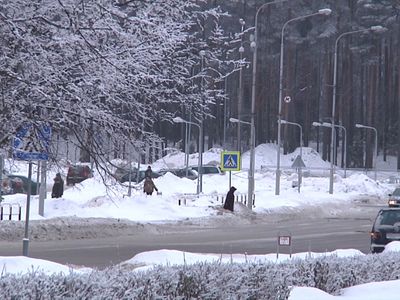 Нужен ли Висагинасу отдел общественного порядка? - В Висагинасе