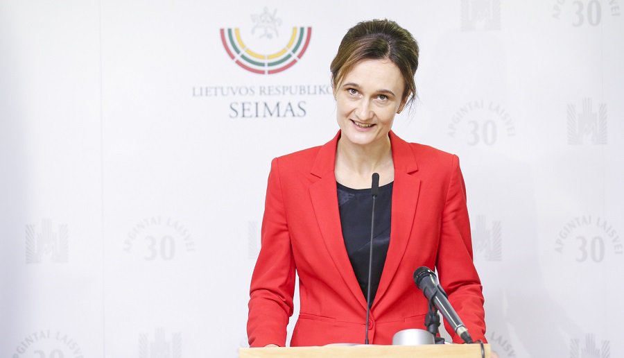 Н. Пелоси приветствует решение ужесточить порядок въезда граждан России на территорию стран Балтии и Польши - В. Чмилите-Нильсен - В Мире