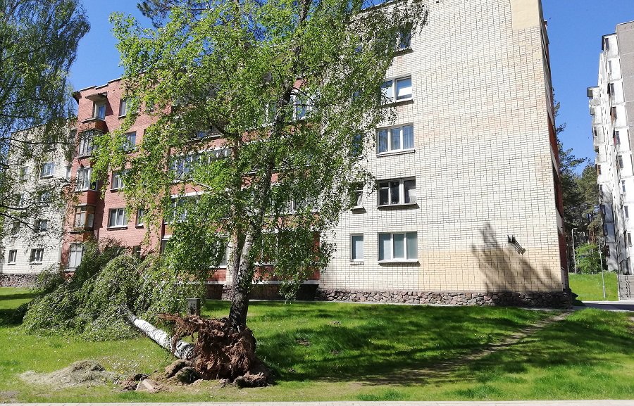 Шквальный ветер в субботу не прошел для города без последствий - В Висагинасе