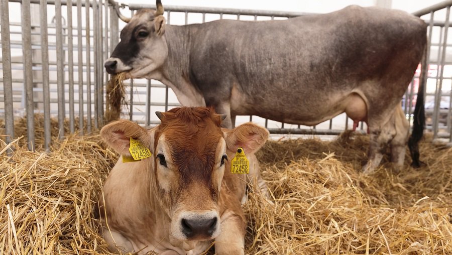Parodoje „AgroBalt 2018“ išrinkti gražiausieji - Įdomu žinoti