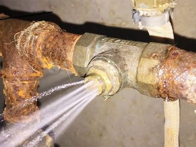 Kreipimas NBSB Sedulinos al.4 - Visagine