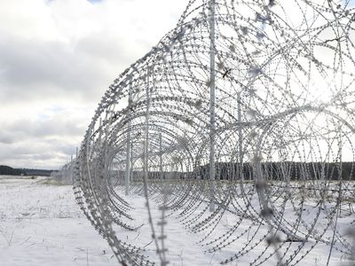 Из Беларуси в Литву пограничники не впустили 34 нелегальных мигранта, - Литва и страны Балтии