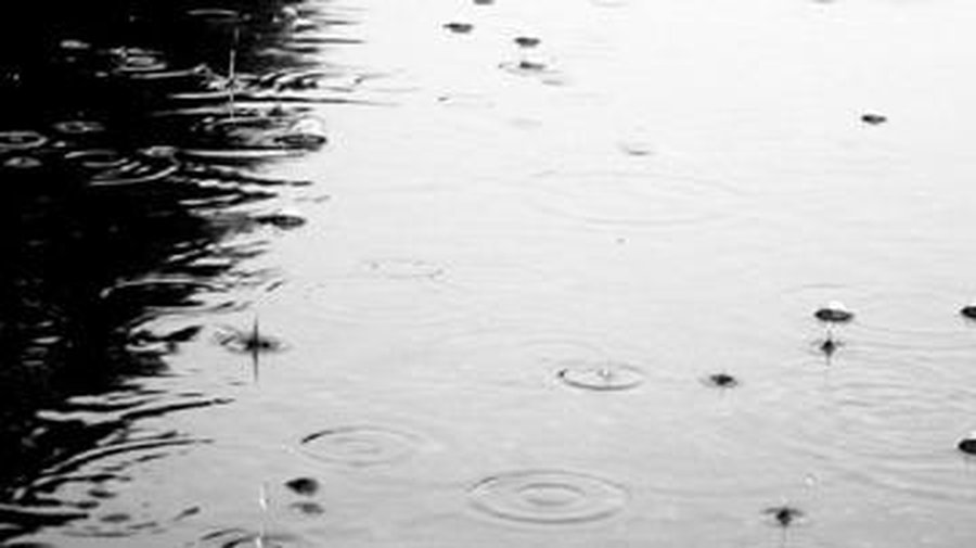 Дождевая вода безопасна для здоровья - Наука и здоровье