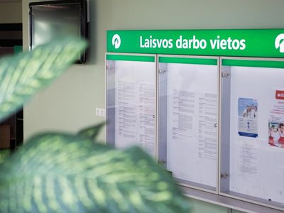 Užimtumo tarnyba: į darbo rinką sugrįžta daugiau ilgalaikių bedarbių - Lietuva ir Baltijos šalys