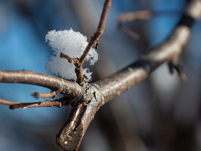 Воздух прогреется до 11 градусов, особенно приятной погода будет в один из выходных дней - Литва и страны Балтии