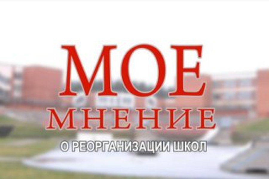 Светлана Бабуева: Школьная реформа — с нарушением процедур
                  - В Висагинасе