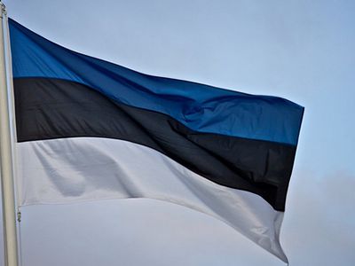В Эстонии зафиксирован первый случай заражения коронавирусом - министр социальных дел - Литва и страны Балтии