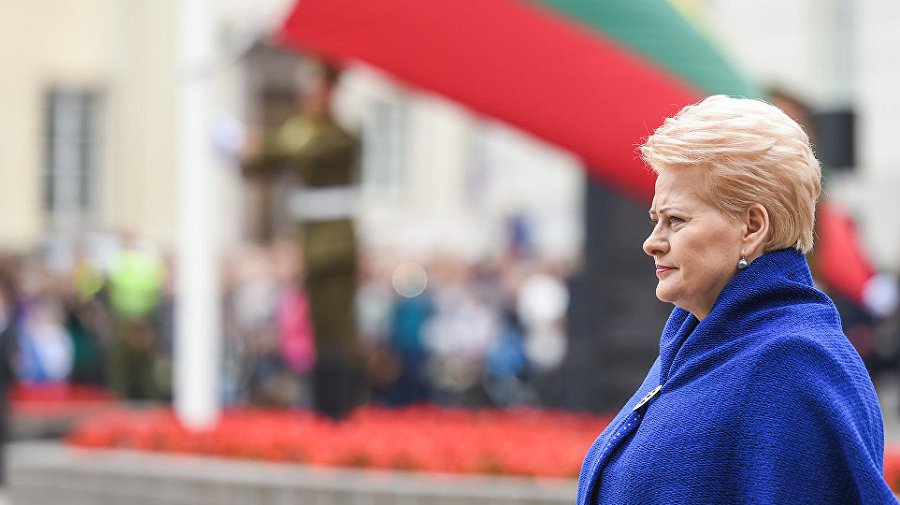 Президент подписала поправки к УК об увеличении в десятки раз штрафов за коррупционные преступления - Литва и страны Балтии