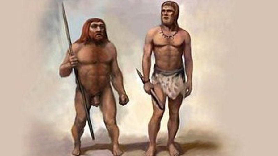 Новая версия исчезновения неандартальцев – их съели наши предки - Наука и здоровье