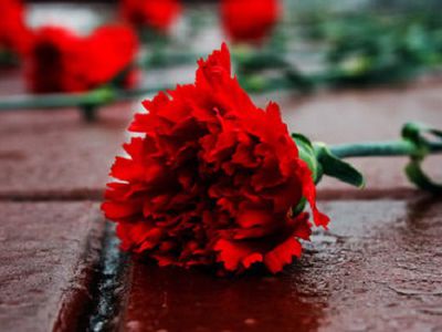 Сердечно благодарю - Благодарность