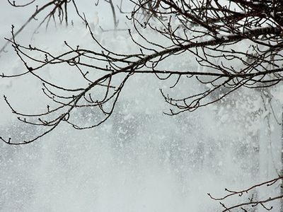 Весенний сюрприз: на части территории Литвы выпал снег - Литва и страны Балтии