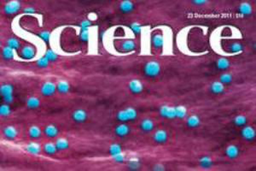 Журнал Science назвал самое значимое научное достижение года                                 - Наука и здоровье