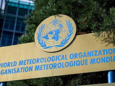 В ООН считают, что 2020 год может войти в пятерку самых теплых в истории наблюдений - Это интересно