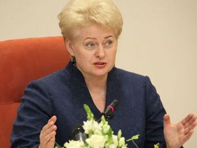 Президент Литвы: Никакие налоговые реформы в Литве не осуществляются


                                 - Литва и страны Балтии