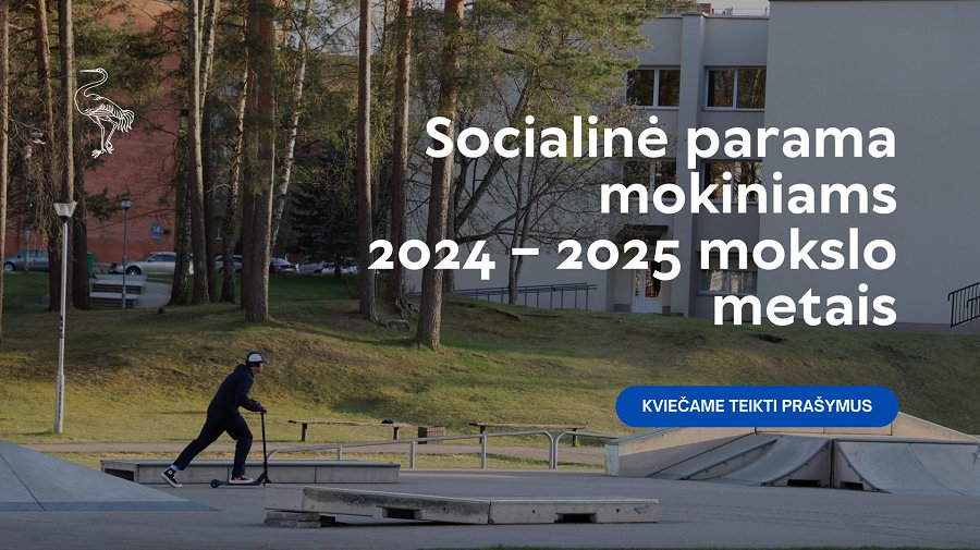 Социальная помощь учащимся в 2024-2025 учебном году - В Висагинасе