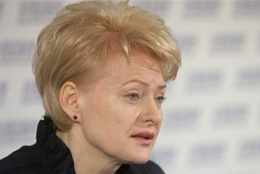 Президент Литвы упрекнула белорусскую оппозицию в алчности                                                                 - Литва и страны Балтии