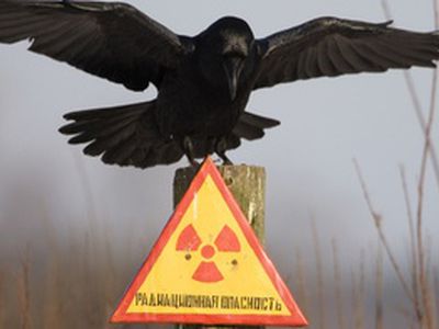 Литва в Женеве пытается оспорить правомерность выбора площадки для Белорусской АЭС

                                 - Энергетика