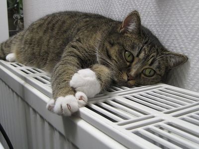 В Сейме после рассмотрения еще на два сезона одобрено применение нулевого тарифа НДС на отопление - Литва и страны Балтии