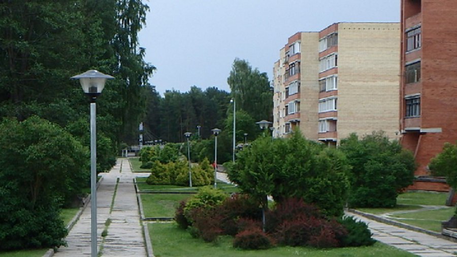 «Глас народа» об улице Висагино: «Изуродовали аллею» - В Висагинасе