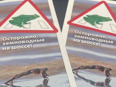 Помоги лягушке перейти дорогу - Это интересно