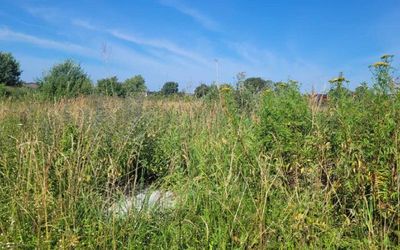 Apie apleistus žemės sklypus reikėtų pranešti savivaldybei - Lietuva ir Baltijos šalys