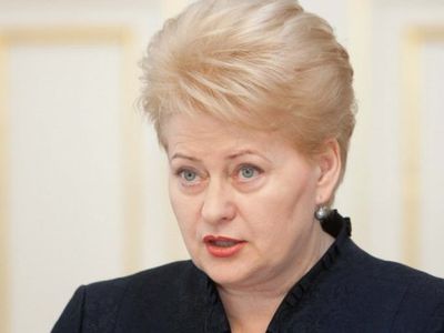 Президент Литвы: Наш опыт показывает, что из экономической ямы можно быстро выбраться
 - Литва и страны Балтии