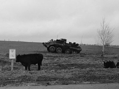 Фотовыставка «Война в Украине. 2022 год» Александра Гляделова в Висагинасе - В Висагинасе