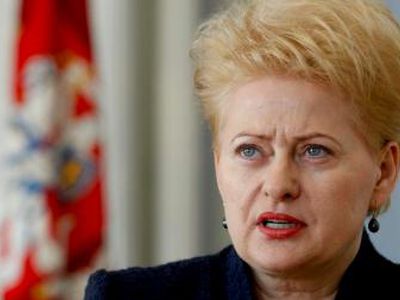 Стоит ли Грибаускайте выдвигать свою кандидатуру на второй срок?
 

 - Литва и страны Балтии