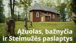 Stelmužė: šimtmečių ąžuolo ir dvaro istorija (filmas)