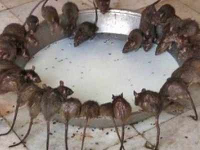 Члены горсовета Алитуса, которые держали деньги в Snorаs, повысили себе зарплаты
                                                                     - Литва и страны Балтии