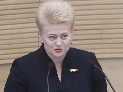 Д. Грибаускайте: если Россия не пойдет ни на какие разговоры, предложим дополнительные санкции - Литва и страны Балтии