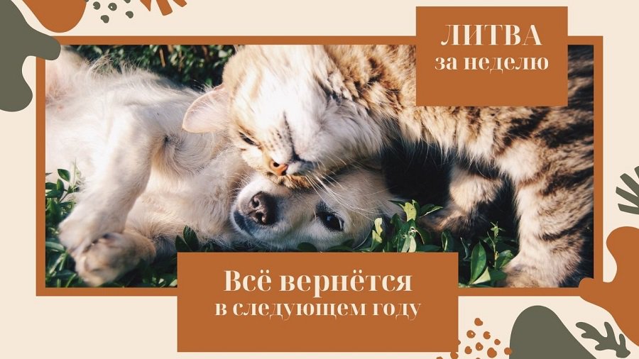 Вирус мутировал? Да бросьте, уже неинтересно: Литва за неделю (видео) - Литва и страны Балтии