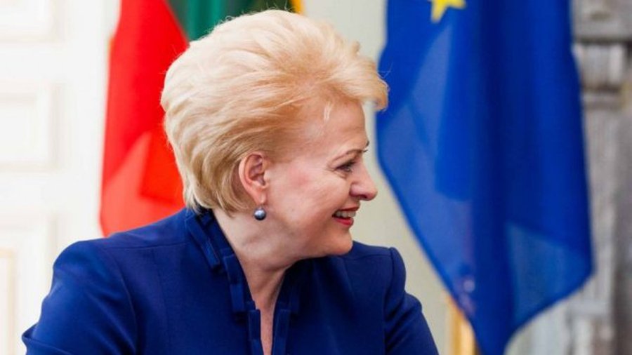 Грибаускайте об энергонезависимости: Литве осталось продержаться пару лет - Литва и страны Балтии